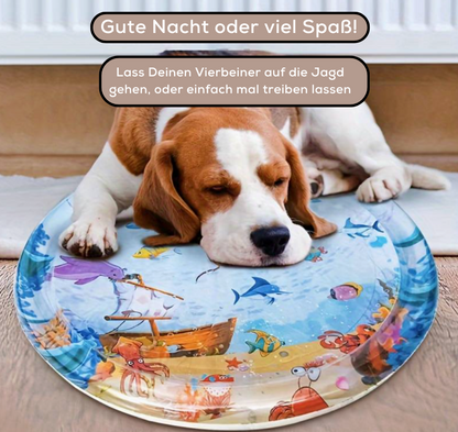Avelena | SensorischerRitt Fahren Lernen Spielen