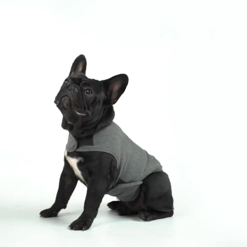 Avelena | Relaxrover Frenchie Angstjacke Beruhigende Kleidung Für Hunde