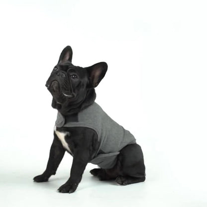 Avelena | Relaxrover Frenchie Angstjacke Beruhigende Kleidung Für Hunde