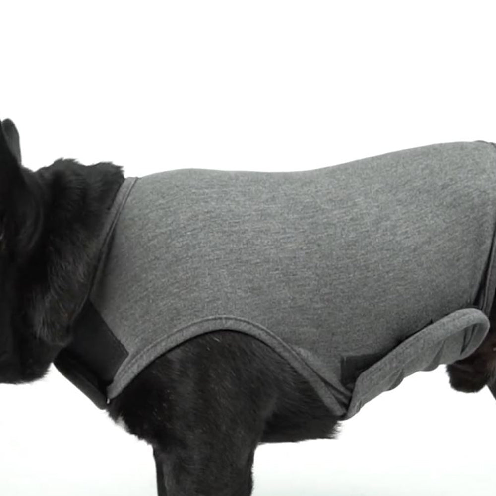 Avelena | Relaxrover Frenchie Angstjacke Beruhigende Kleidung Für Hunde