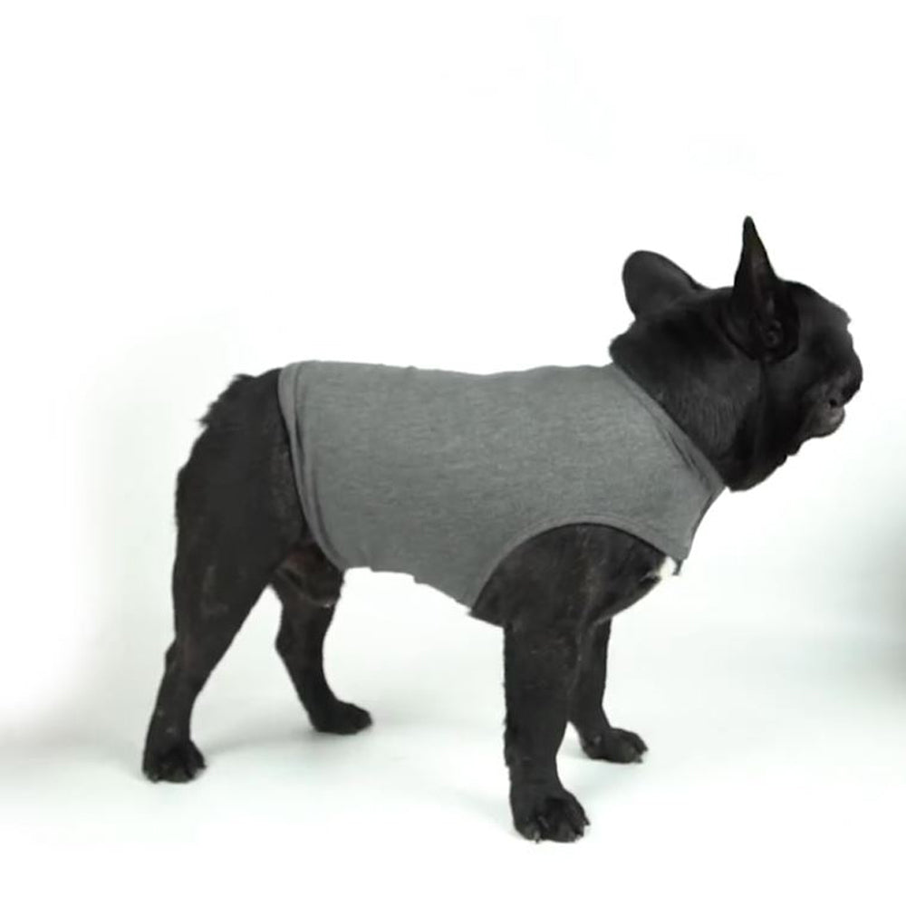 Avelena | Relaxrover Frenchie Angstjacke Beruhigende Kleidung Für Hunde