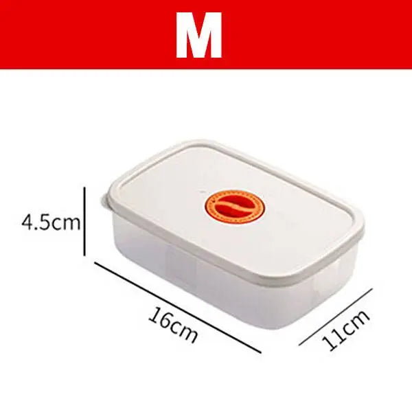 Avelena | Bento Lunchbox – Lebensmittelbehälter Mit Fächern