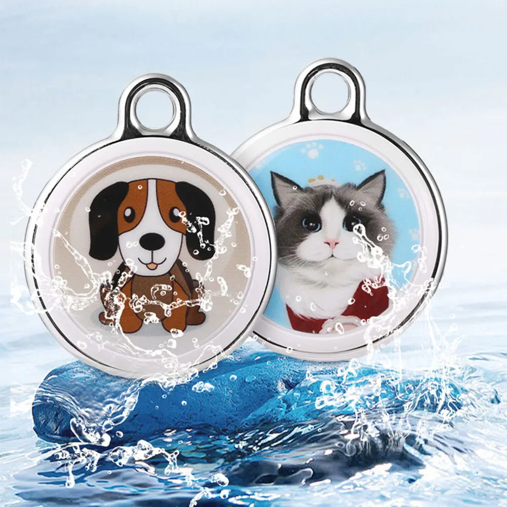 Avelena | GeoPaw | Smarte Tierverfolgung mit globaler Platzierung