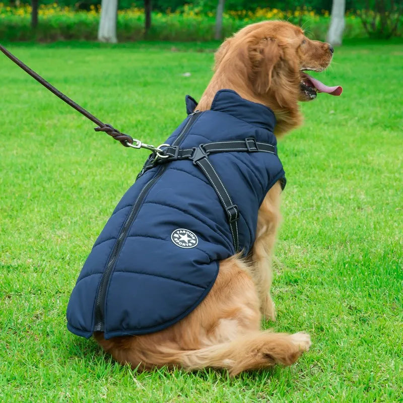 Avelena | Dogfrei Jacke Wasserdichte Winterjacke mit Eingebautem Geschirr