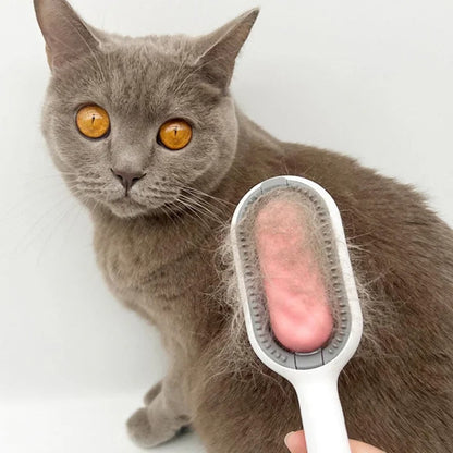 Avelena |  PawLuxe – Die Sanfte Pflege Für Dein Haustier!