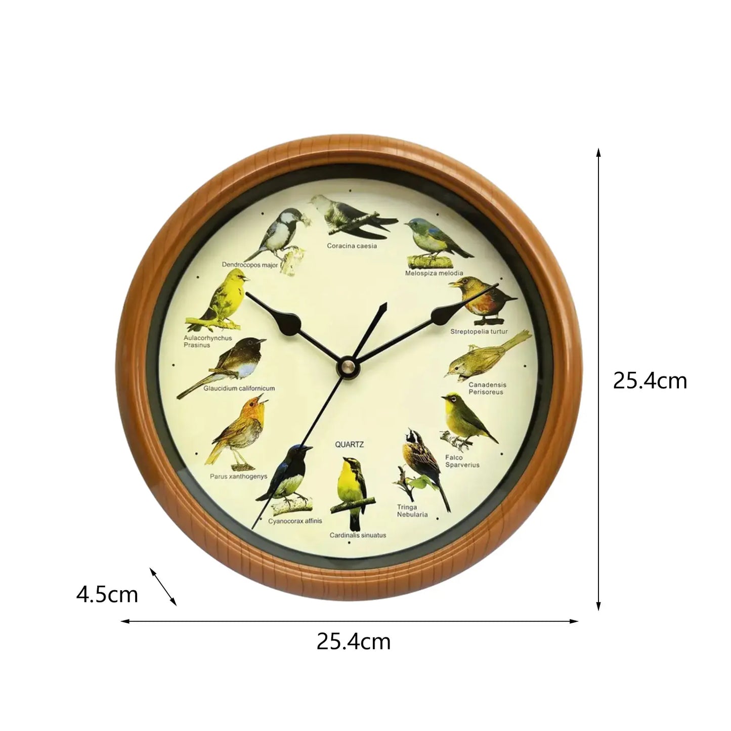 Avelena | Clock 10 Inch Wanduhr für Stilvolles Interieur