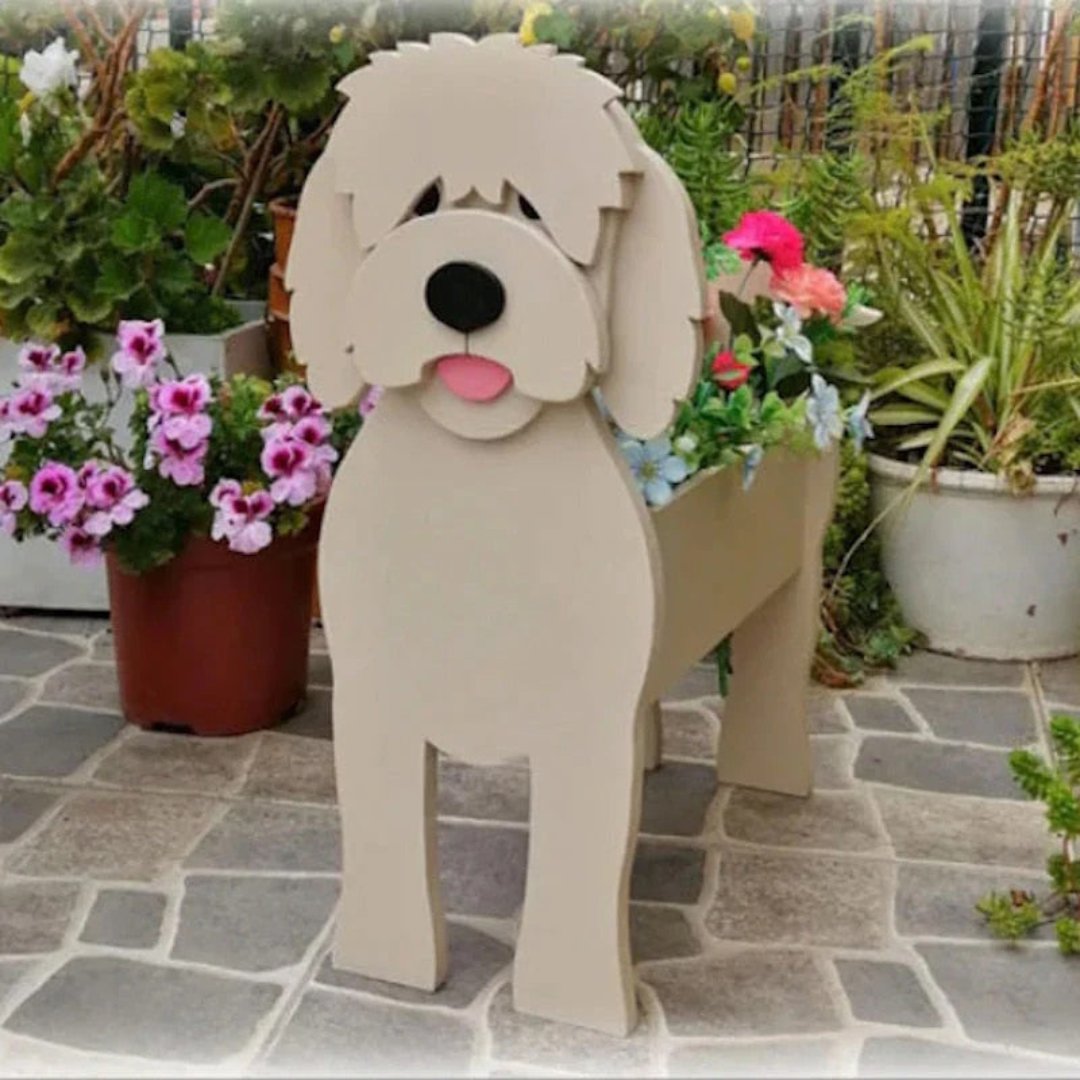 Avelena | Pupcycled Welpenpflanze