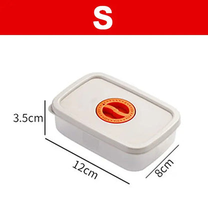 Avelena | Bento Lunchbox – Lebensmittelbehälter Mit Fächern