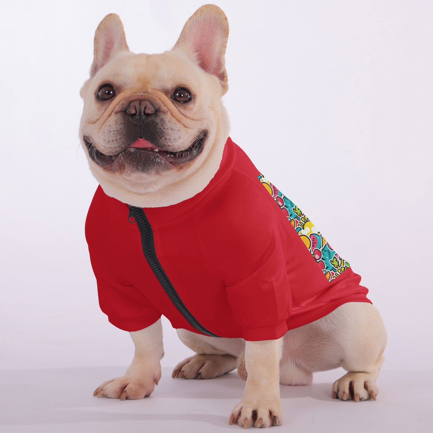 Avelena | Apollo - Gemütlicher Reißverschluss-Hoodie Für Französische Bulldoggen
