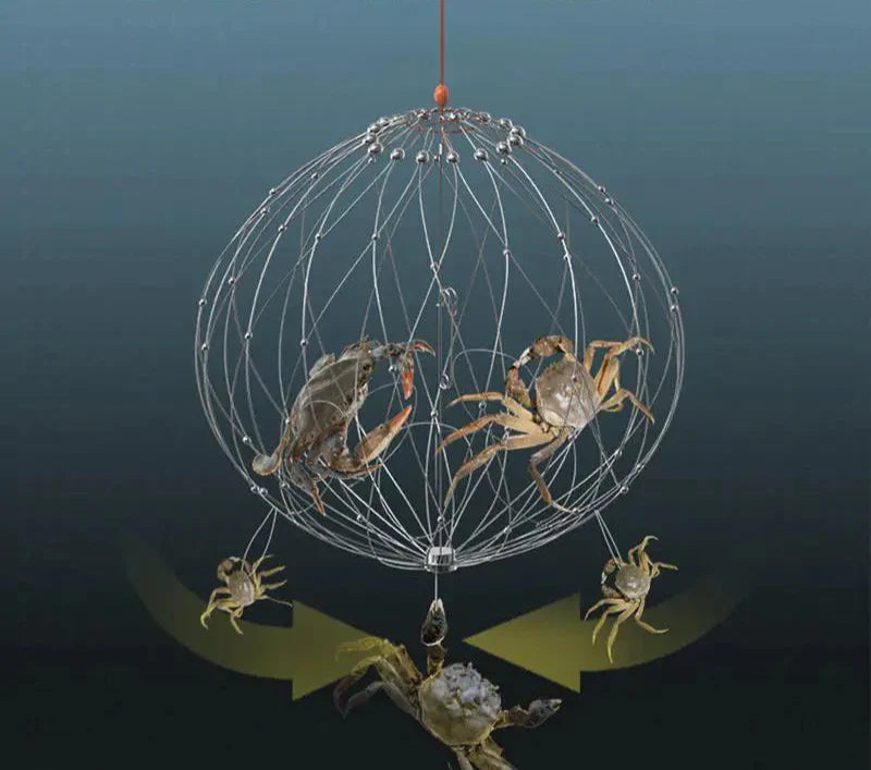 Avelena | AutoTrap Fischernetz Käfig