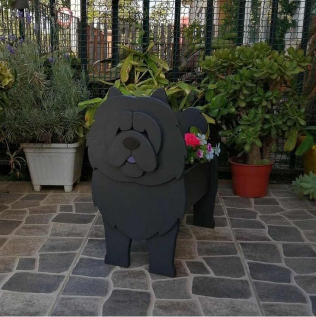 Avelena | Pupcycled Welpenpflanze