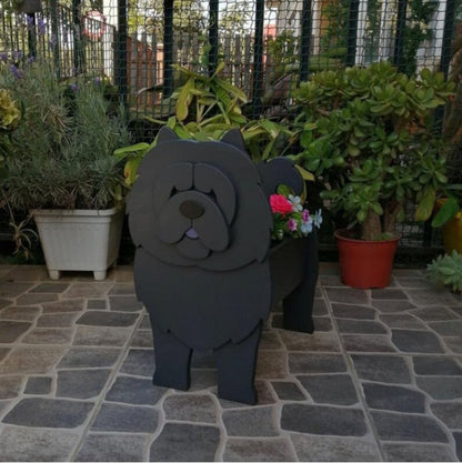 Avelena | Pupcycled Welpenpflanze