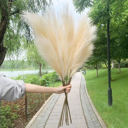 Avelena | 5 Stück 100 cm Künstliches Pampasgras Trockenrohr Blumenstrauß Hochzeitsfeier Dekoration Zuhause Raum DIY Künstliche Pflanzen Dekorationsbedarf