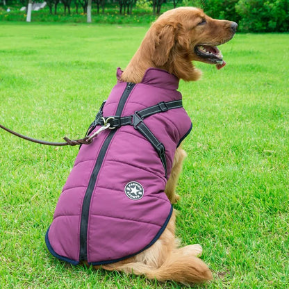 Avelena | Dogfrei Jacke Wasserdichte Winterjacke mit Eingebautem Geschirr