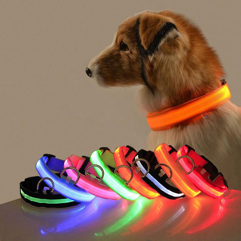 Avelena | Hundehalsband mit LED-Beleuchtung Glowcollar