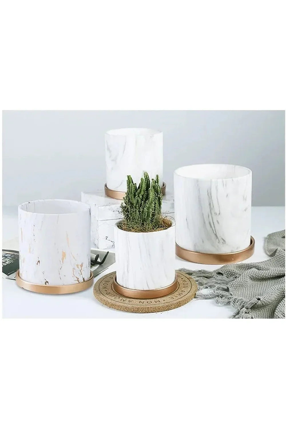 Avelena | Marmor Goldblatt Pflanzen Topf Set