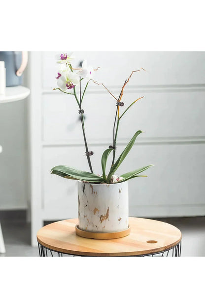 Avelena | Marmor Goldblatt Pflanzen Topf Set