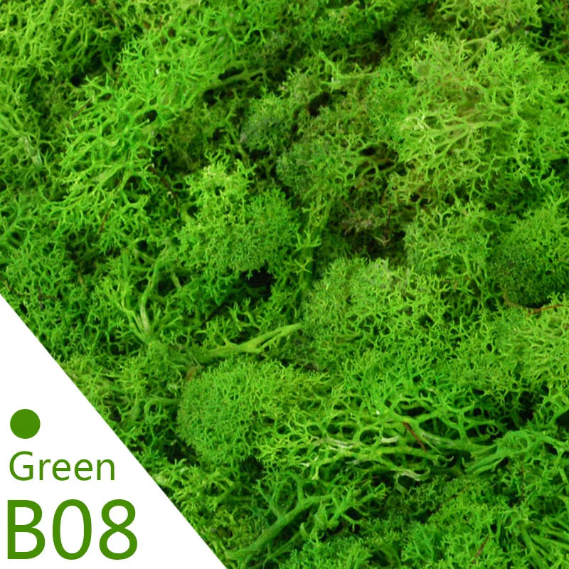 Avelena | Immortal Moss Green Künstliche Pflanze Zuhause Garten Deko