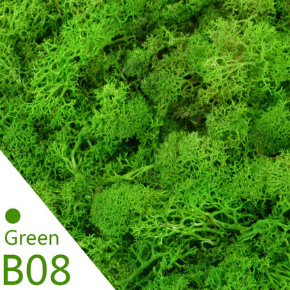 Avelena | Immortal Moss Green Künstliche Pflanze Zuhause Garten Deko