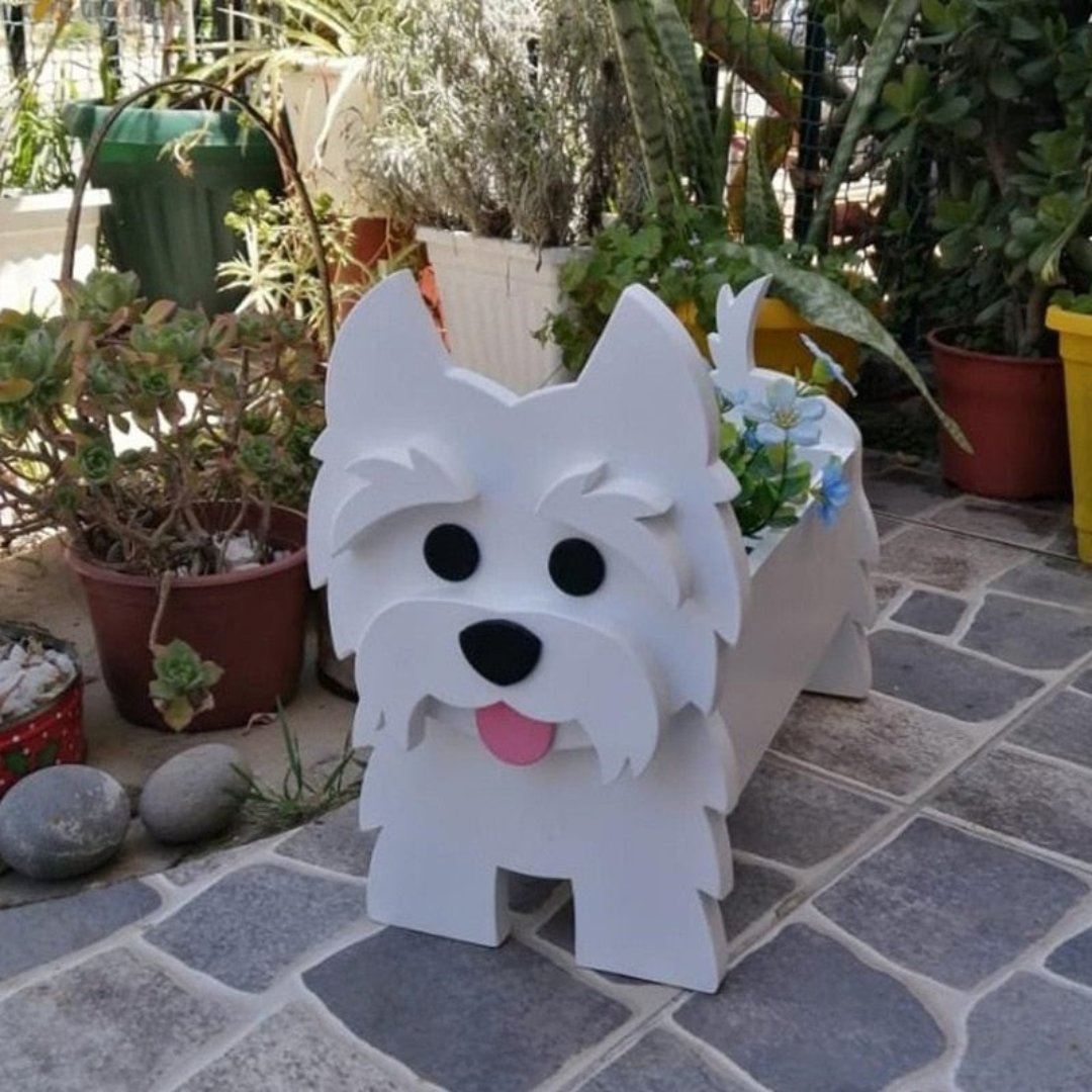 Avelena | Pupcycled Welpenpflanze