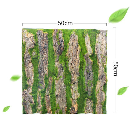 Avelena | DIY Wanddekoration Grünpflanze Rinde