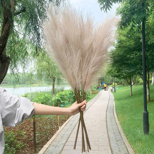 Avelena | 5 Stück 100 cm Künstliches Pampasgras Trockenrohr Blumenstrauß Hochzeitsfeier Dekoration Zuhause Raum DIY Künstliche Pflanzen Dekorationsbedarf