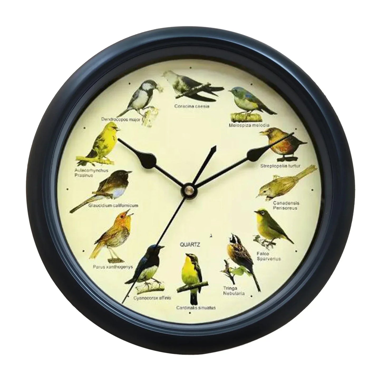 Avelena | Clock 10 Inch Wanduhr für Stilvolles Interieur