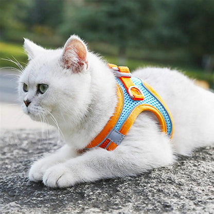 Avelena | Damit Ihre Katze Sicher Ist, Während Sie Die Welt Erkundet