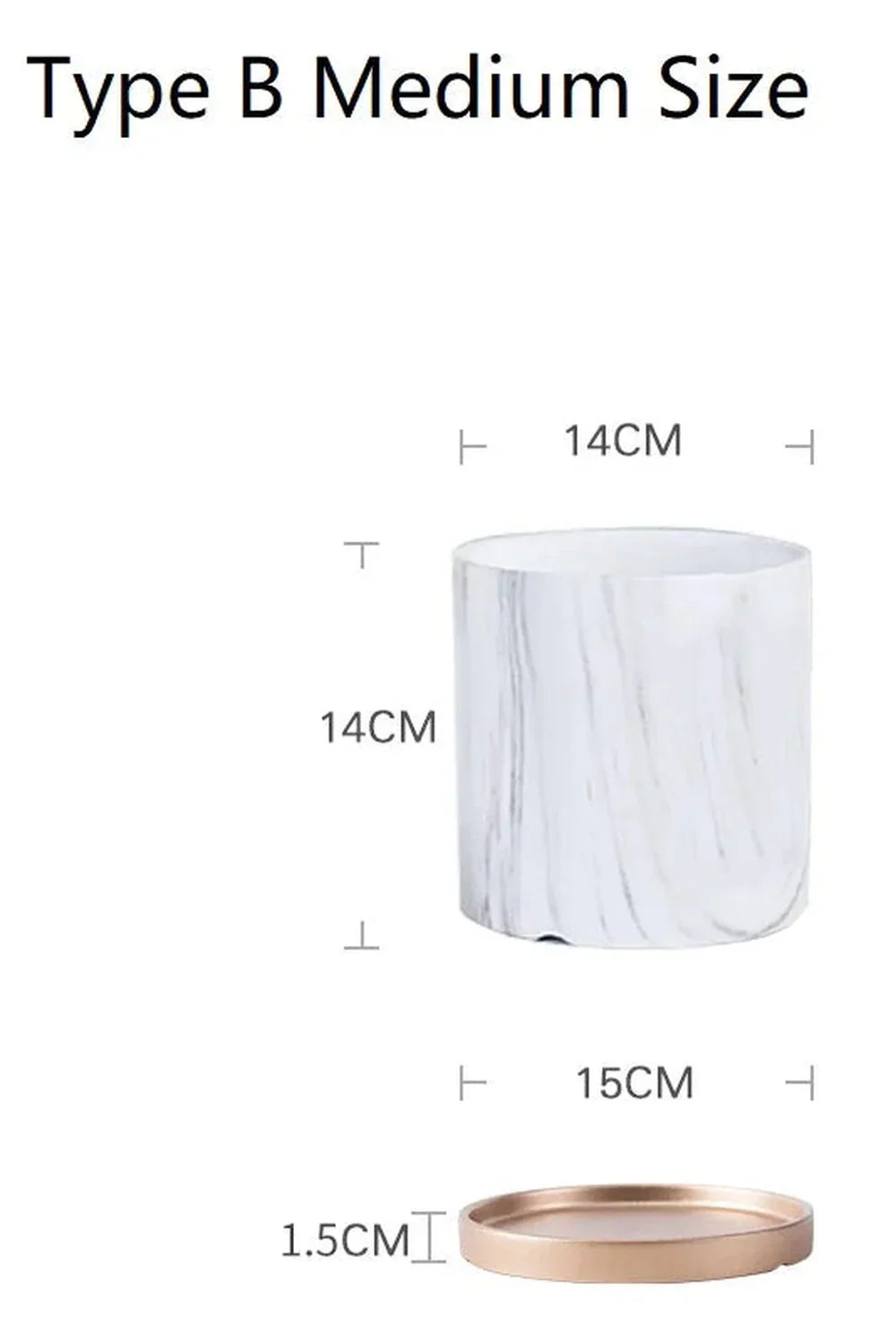 Avelena | Marmor Goldblatt Pflanzen Topf Set