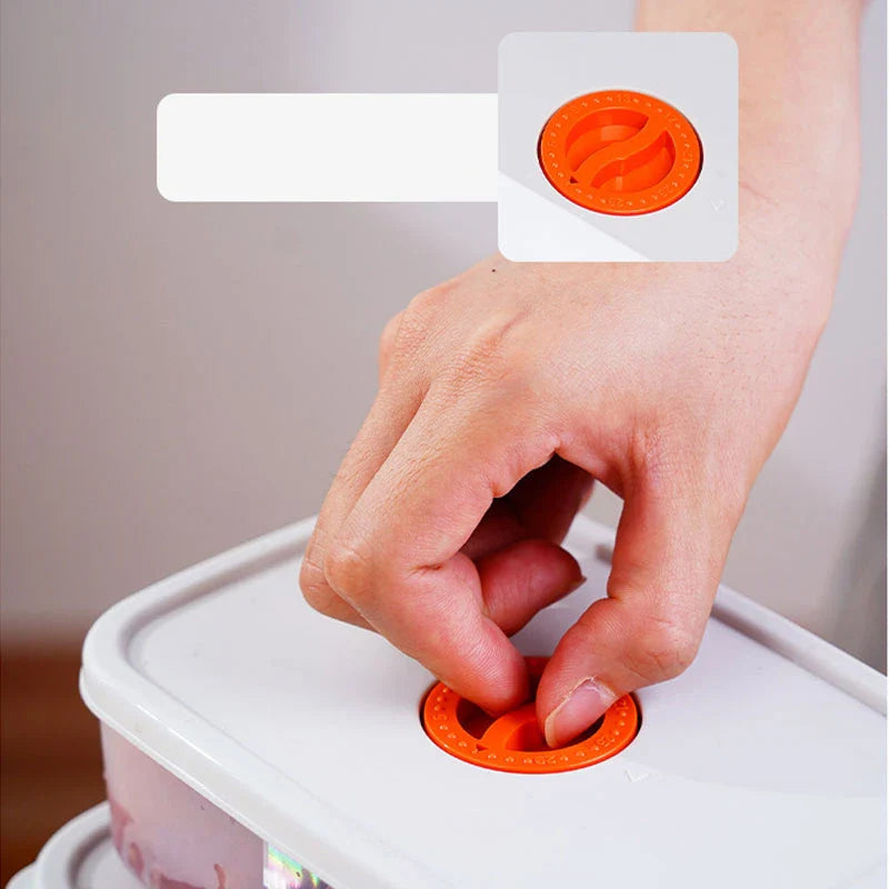 Avelena | Bento Lunchbox – Lebensmittelbehälter Mit Fächern