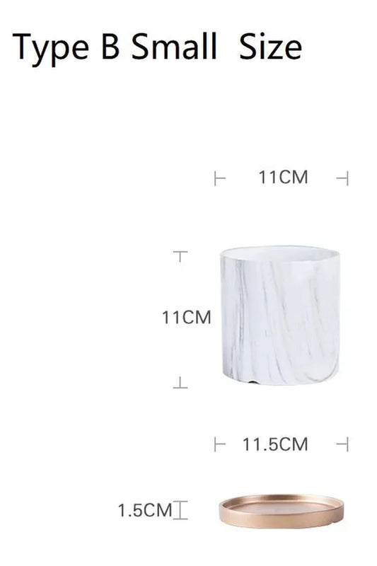 Avelena | Marmor Goldblatt Pflanzen Topf Set