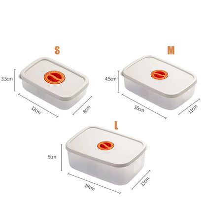 Avelena | Bento Lunchbox – Lebensmittelbehälter Mit Fächern