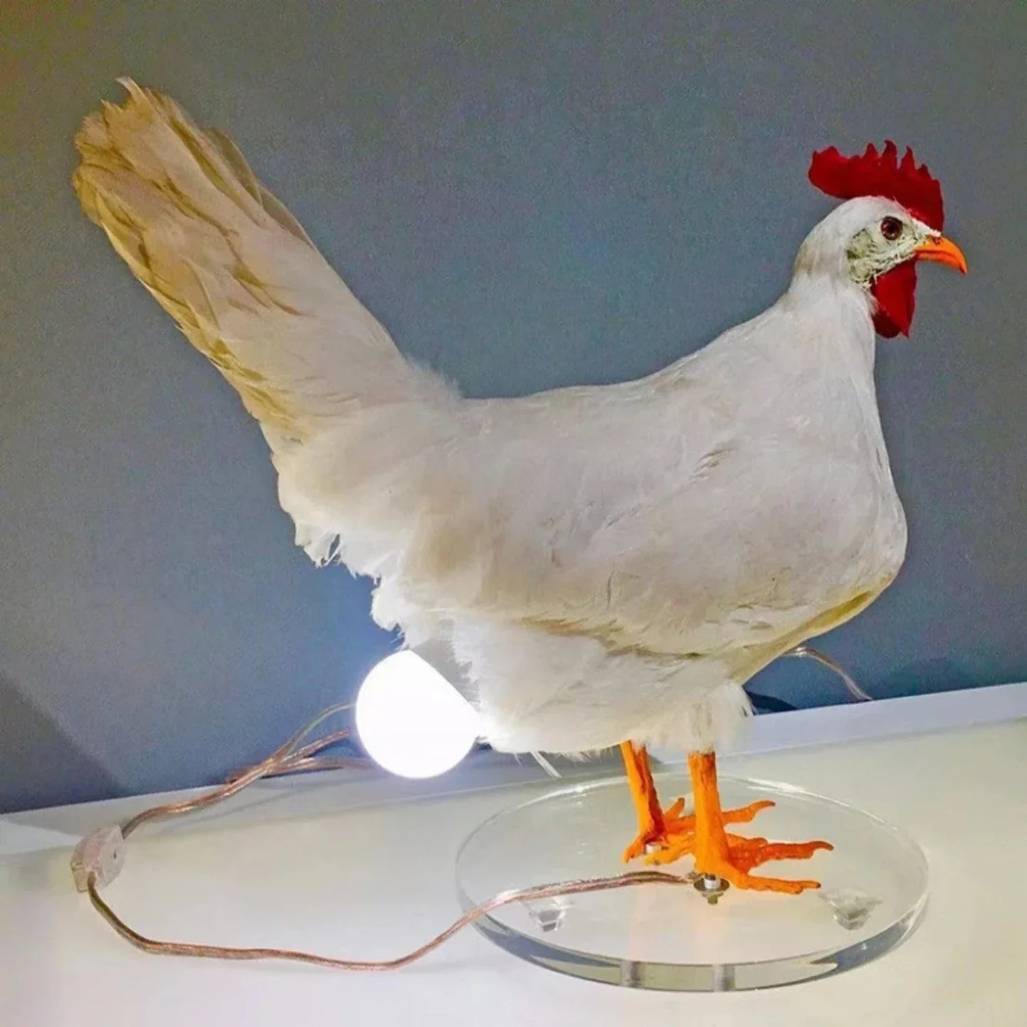 Avelena | Bauernhaus Huhn Tischlampe