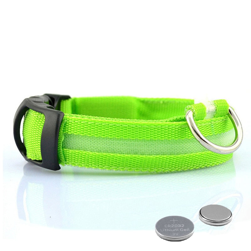 Avelena | Hundehalsband mit LED-Beleuchtung Glowcollar