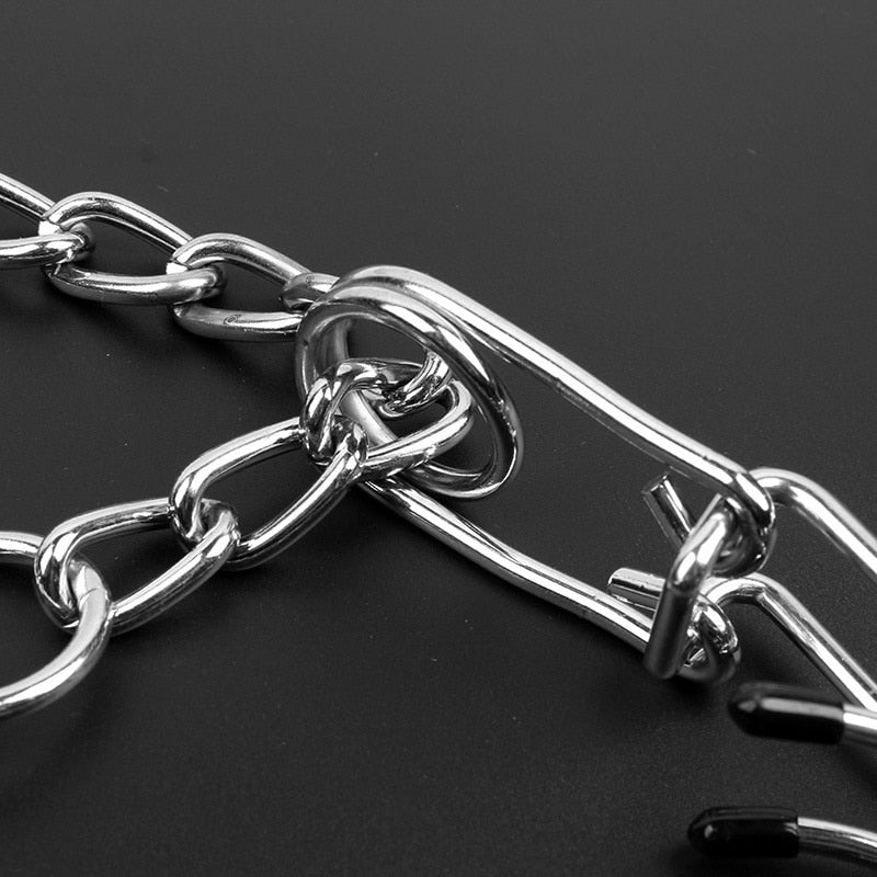 Avelena | CalmLead | Hundehalsband – Effektives und sicheres Gehorsamkeitstraining