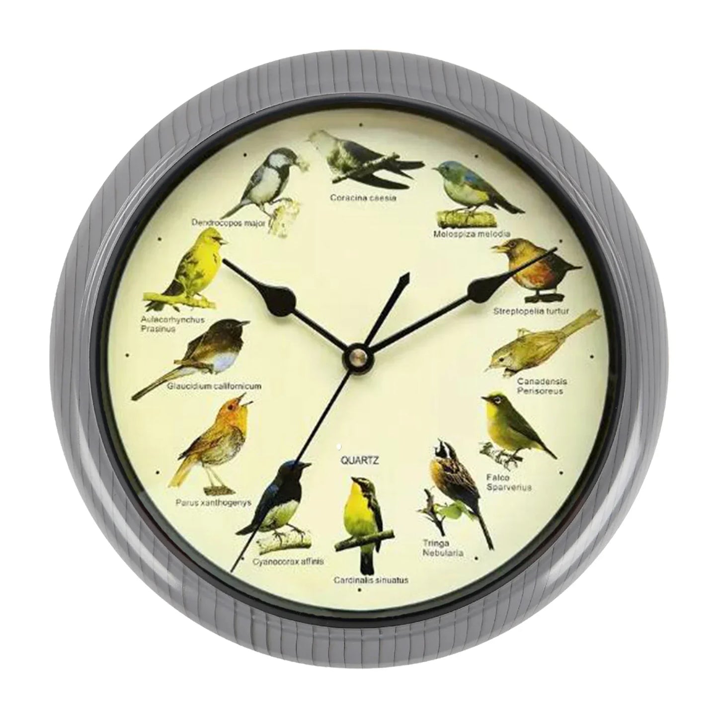Avelena | Clock 10 Inch Wanduhr für Stilvolles Interieur