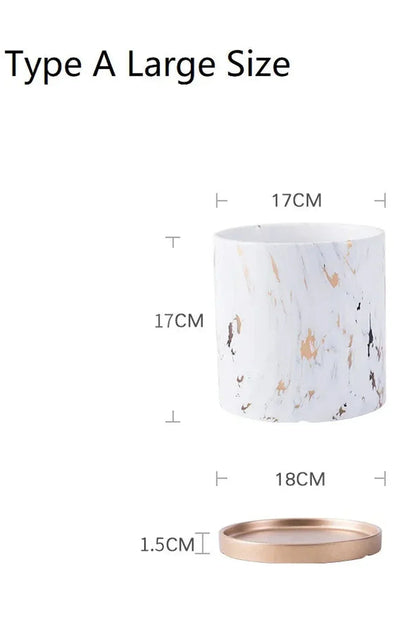 Avelena | Marmor Goldblatt Pflanzen Topf Set