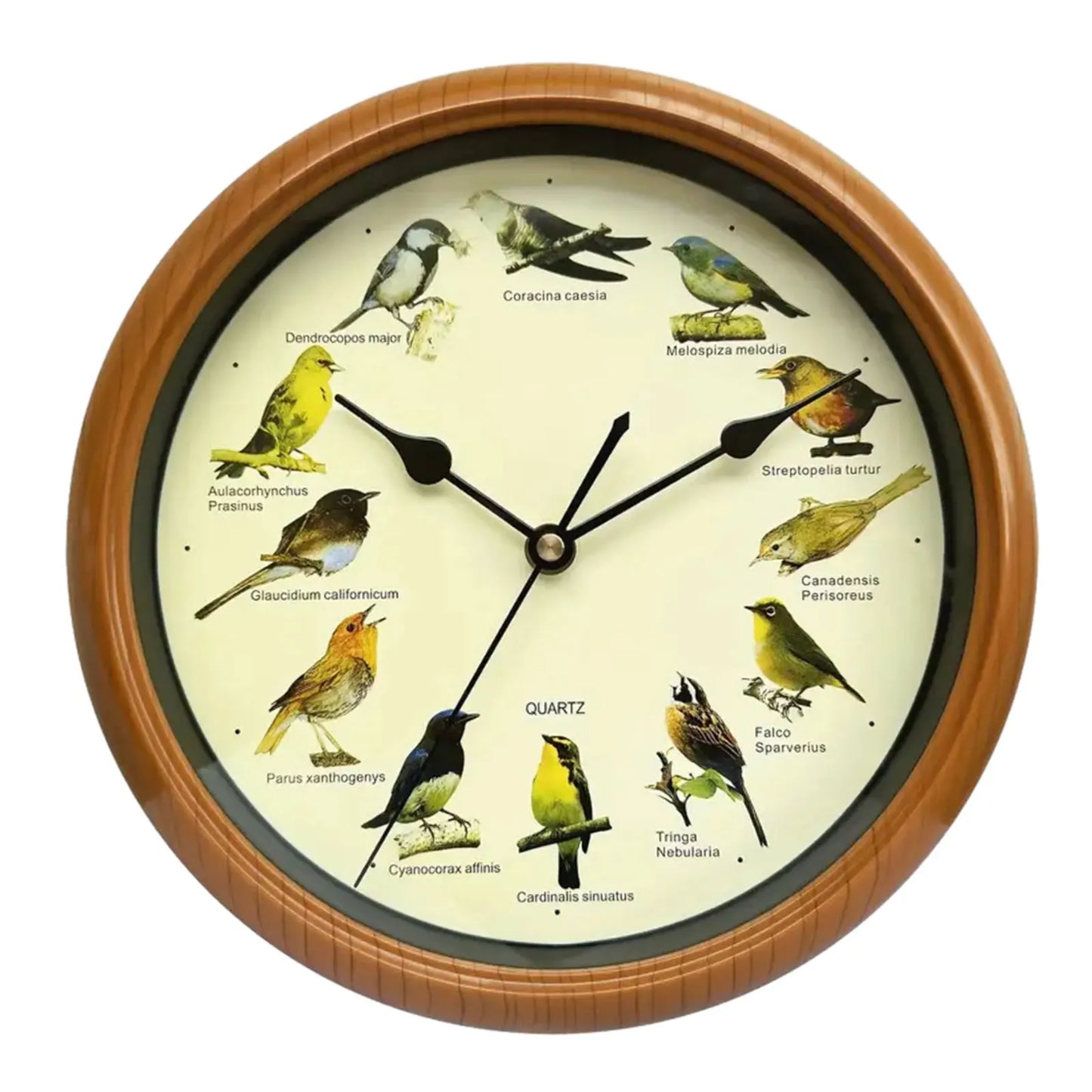 Avelena | Clock 10 Inch Wanduhr für Stilvolles Interieur