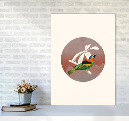 Avelena | Vogelcollage II Kunstdruck von Seven Trees Design