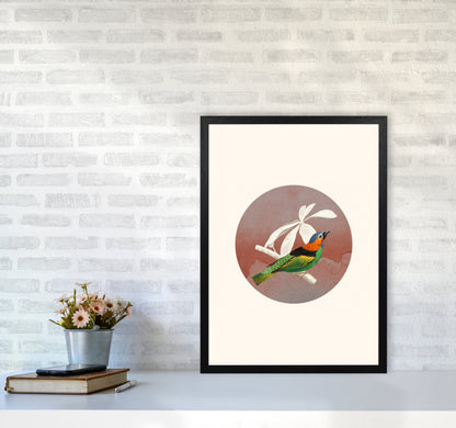 Avelena | Vogelcollage II Kunstdruck von Seven Trees Design