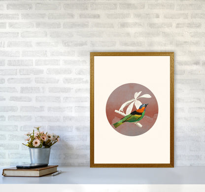 Avelena | Vogelcollage II Kunstdruck von Seven Trees Design