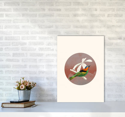 Avelena | Vogelcollage II Kunstdruck von Seven Trees Design