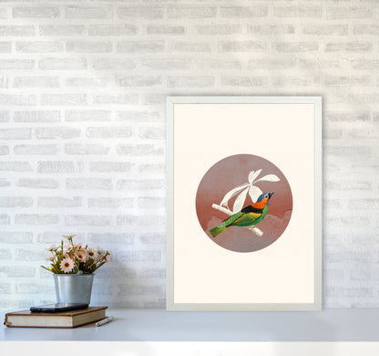 Avelena | Vogelcollage II Kunstdruck von Seven Trees Design