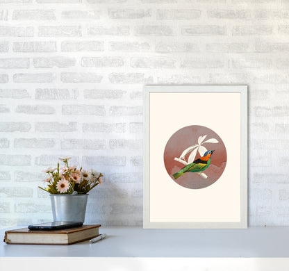 Avelena | Vogelcollage II Kunstdruck von Seven Trees Design