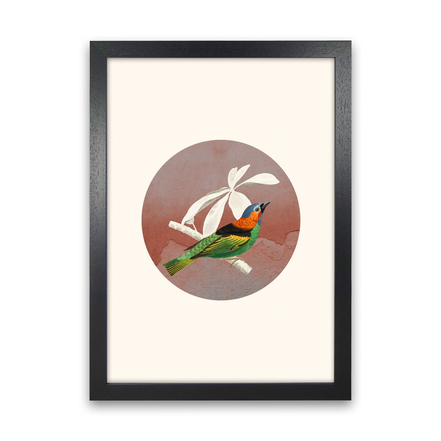 Avelena | Vogelcollage II Kunstdruck von Seven Trees Design
