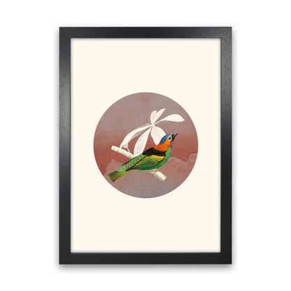 Avelena | Vogelcollage II Kunstdruck von Seven Trees Design