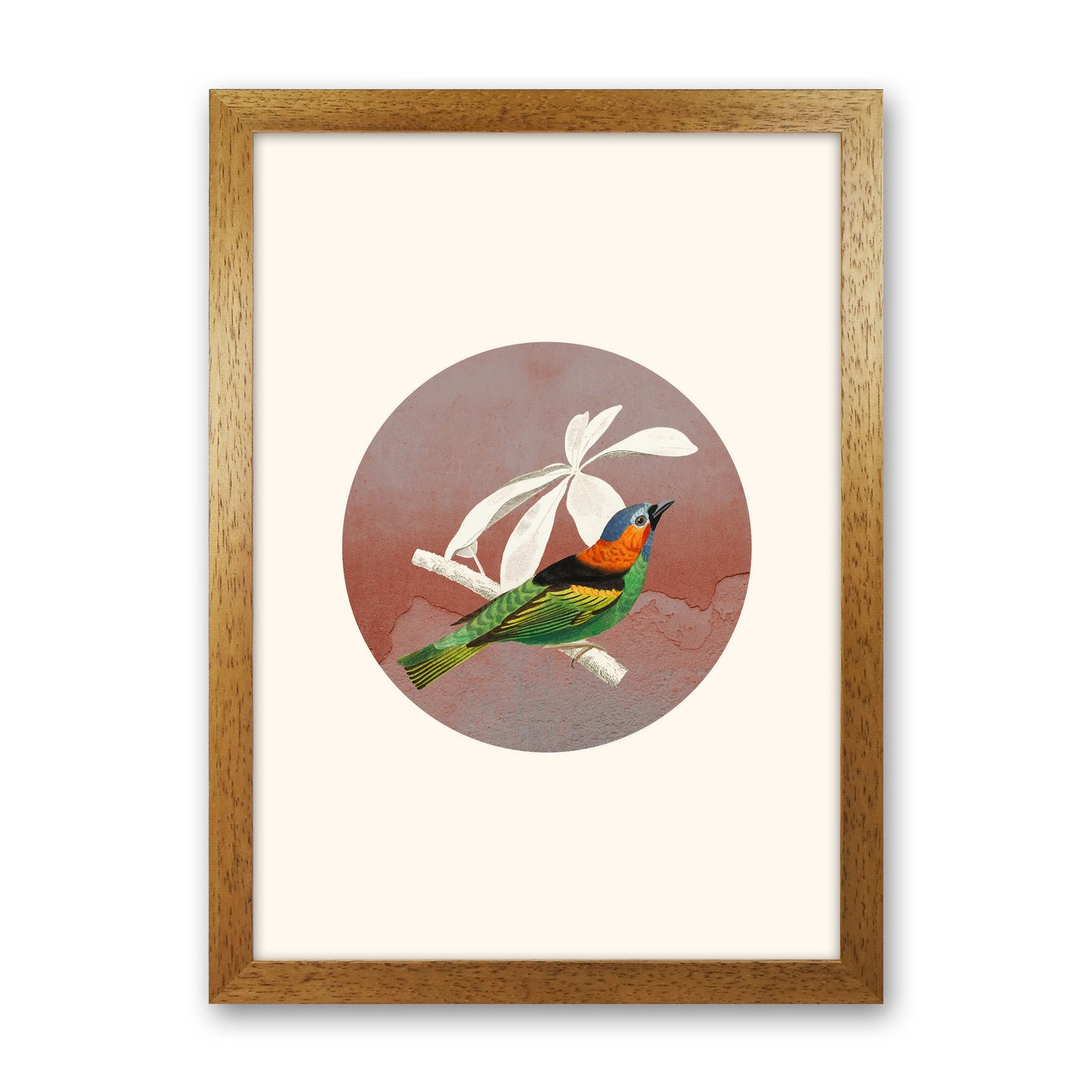 Avelena | Vogelcollage II Kunstdruck von Seven Trees Design