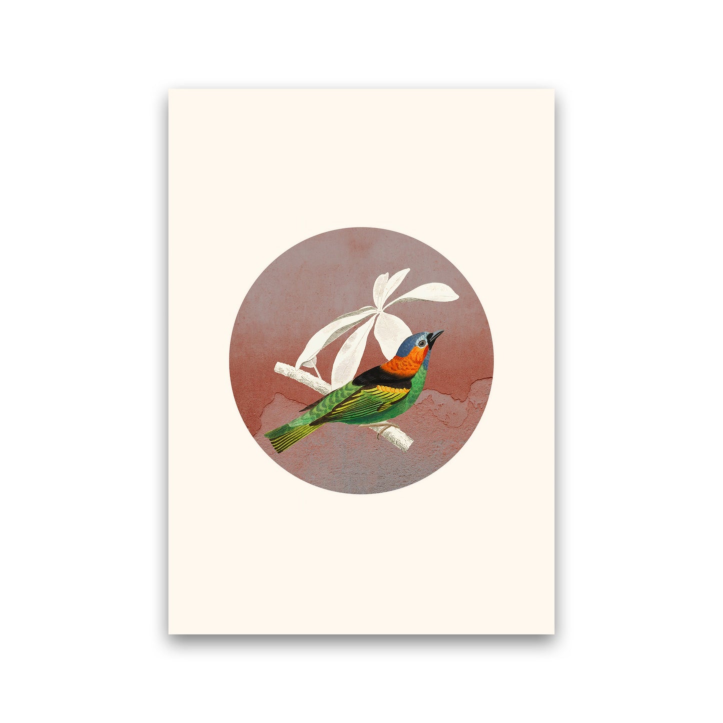 Avelena | Vogelcollage II Kunstdruck von Seven Trees Design