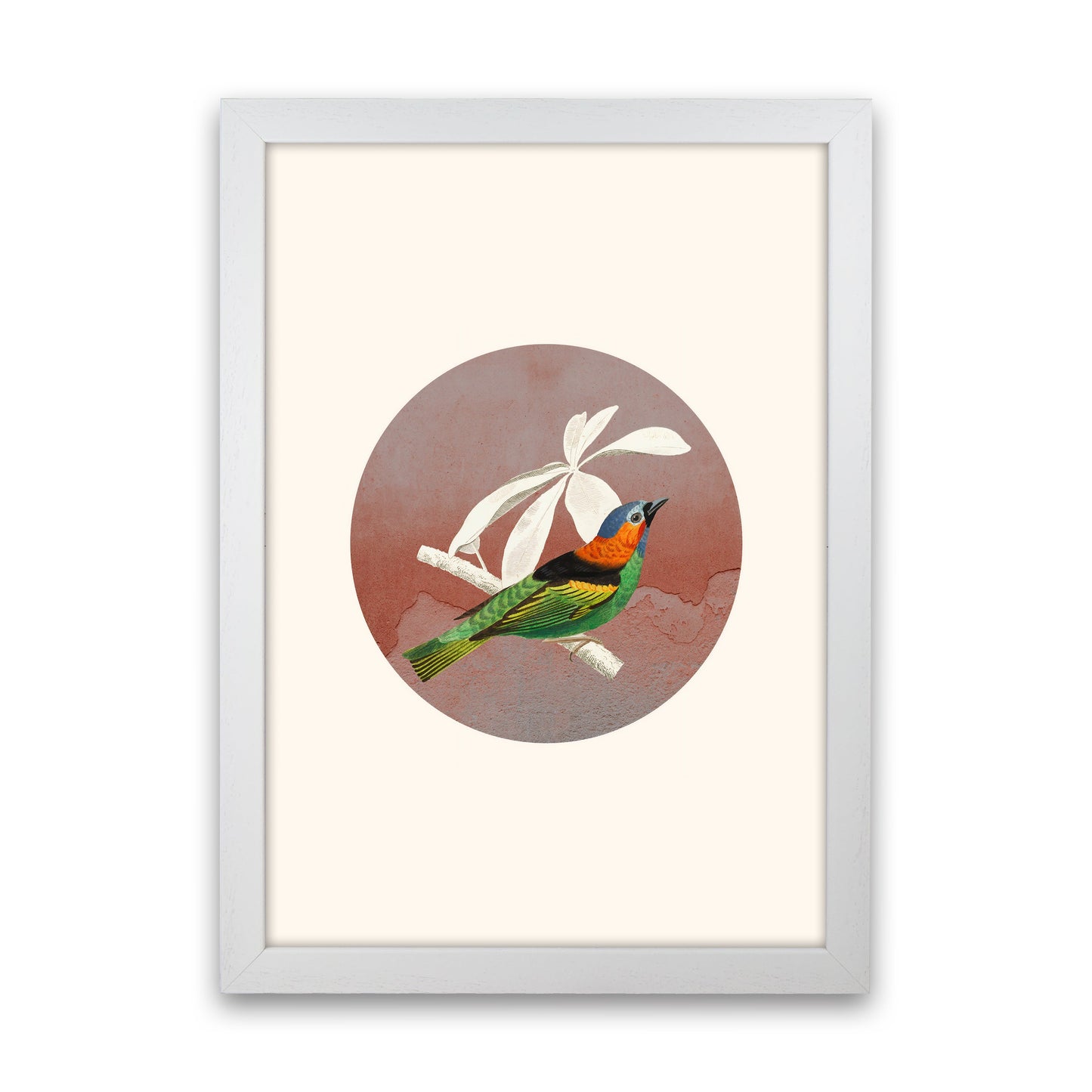 Avelena | Vogelcollage II Kunstdruck von Seven Trees Design