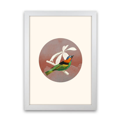 Avelena | Vogelcollage II Kunstdruck von Seven Trees Design
